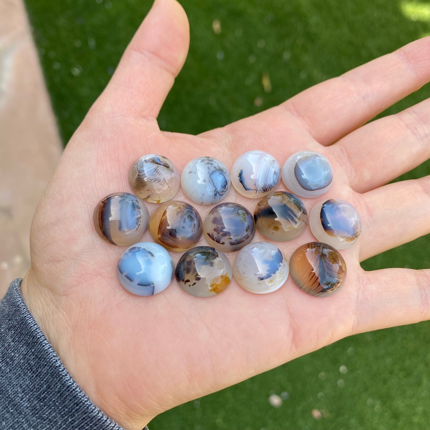 Dendrite agate cabochons 15mm rounds (lot D)