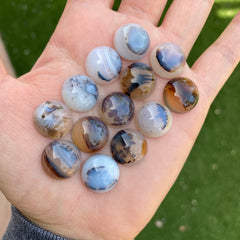 Dendrite agate cabochons 15mm rounds (lot D)