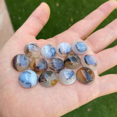 Dendrite agate cabochons 15mm rounds (lot D)