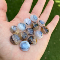 Dendrite agate cabochons 15mm rounds (lot D)