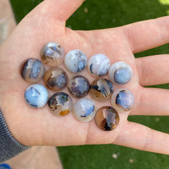 Dendrite agate cabochons 15mm rounds (lot D)