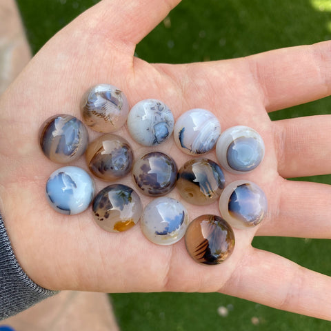 Dendrite agate cabochons 15mm rounds (lot D)