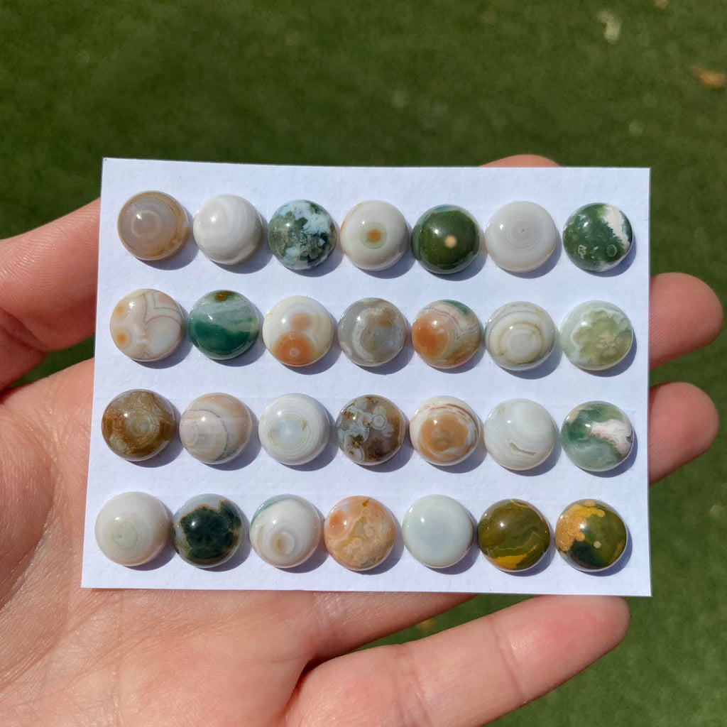Round 10mm Ocean Jasper cabochons
