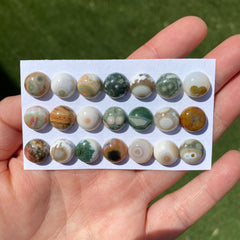 Round 10mm Ocean Jasper cabochons