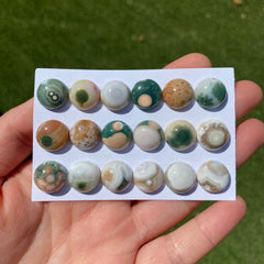 Round 12mm Ocean Jasper cabochons