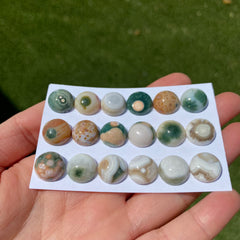 Round 12mm Ocean Jasper cabochons