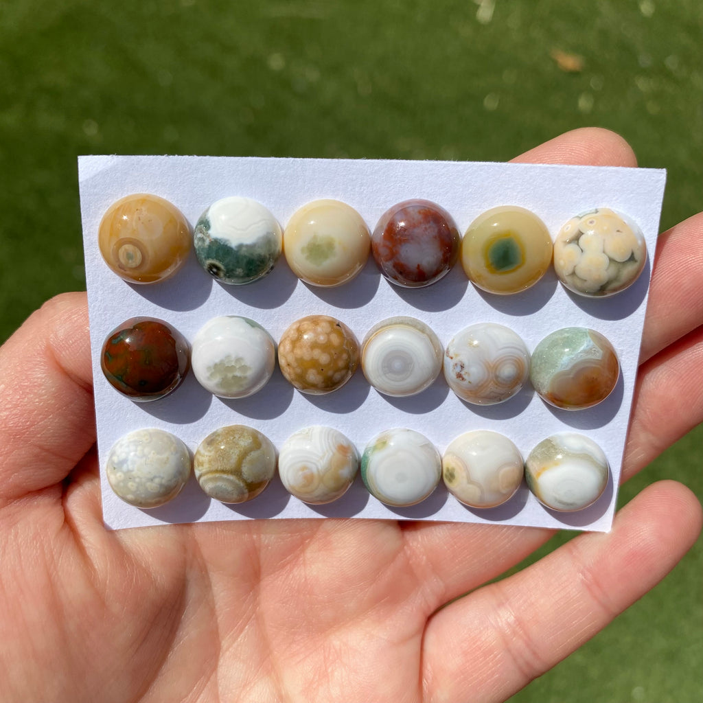 Round 12mm Ocean Jasper cabochons