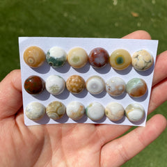Round 12mm Ocean Jasper cabochons