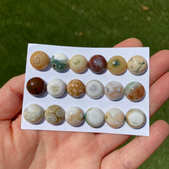 Round 12mm Ocean Jasper cabochons
