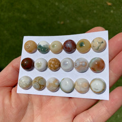 Round 12mm Ocean Jasper cabochons
