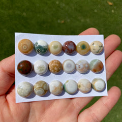 Round 12mm Ocean Jasper cabochons