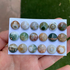 Round 12mm Ocean Jasper cabochons