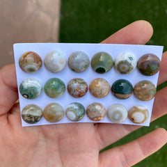 Round 12mm Ocean Jasper cabochons
