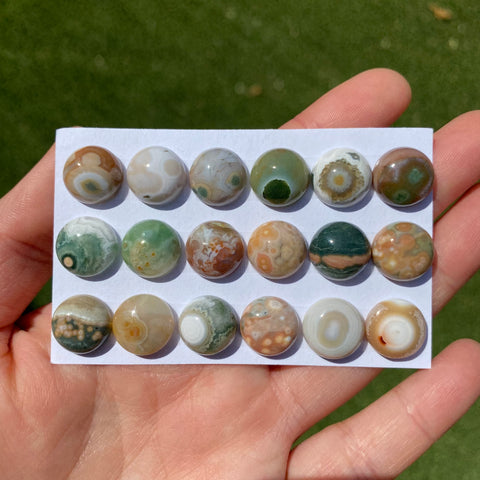 Round 12mm Ocean Jasper cabochons