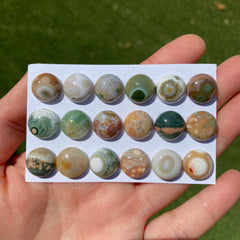 Round 12mm Ocean Jasper cabochons
