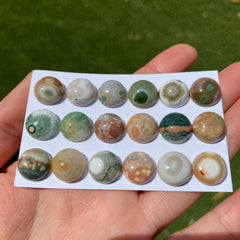 Round 12mm Ocean Jasper cabochons