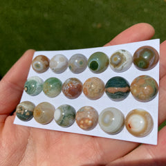 Round 12mm Ocean Jasper cabochons
