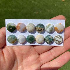 Round 12mm Ocean Jasper cabochons