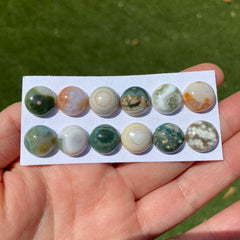 Round 12mm Ocean Jasper cabochons
