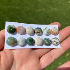 Round 12mm Ocean Jasper cabochons