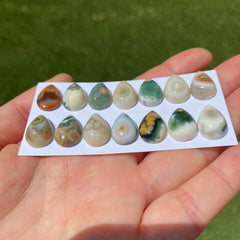 Drop 10x14mm Ocean Jasper cabochons