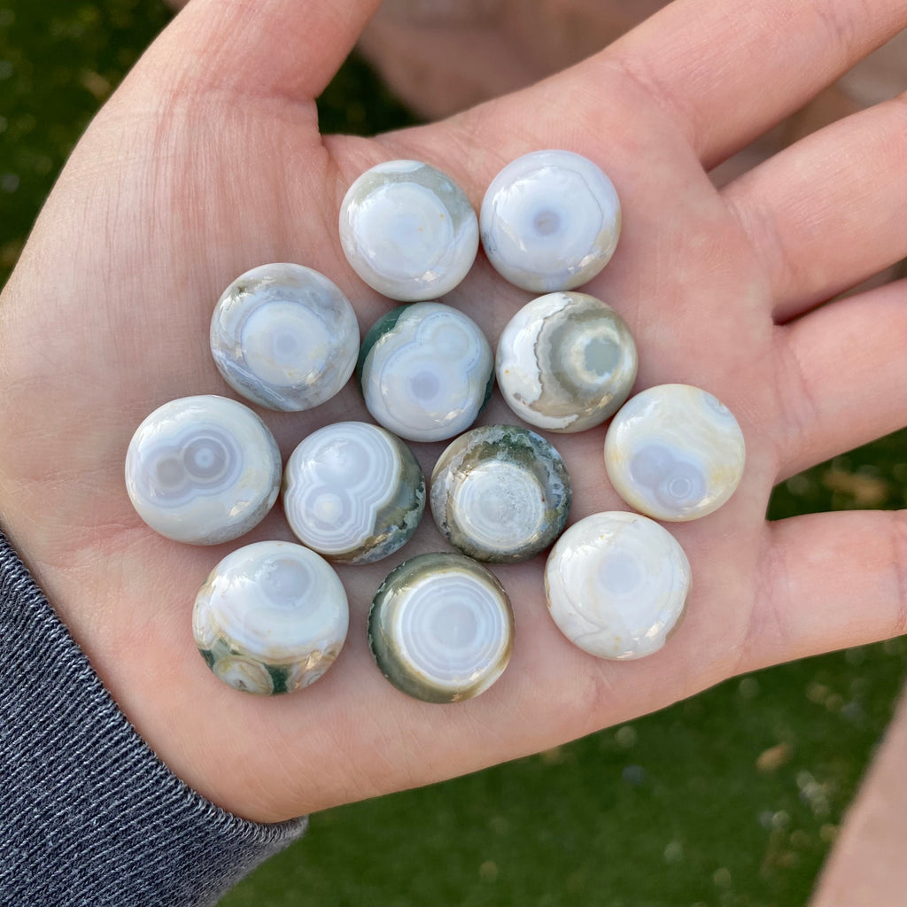 Round 16mm Ocean Jasper cabochons