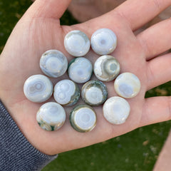 Round 16mm Ocean Jasper cabochons