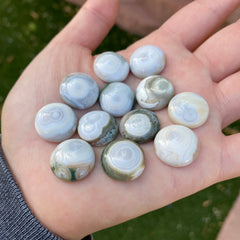 Round 16mm Ocean Jasper cabochons