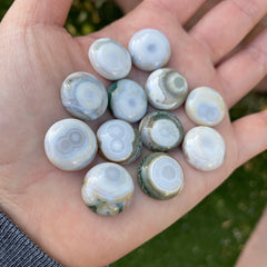 Round 16mm Ocean Jasper cabochons