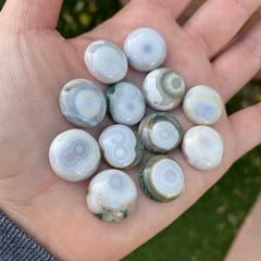 Round 16mm Ocean Jasper cabochons