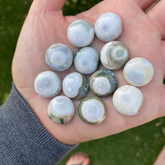 Round 16mm Ocean Jasper cabochons