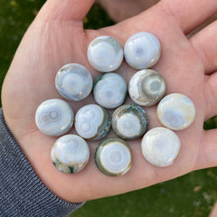 Round 16mm Ocean Jasper cabochons