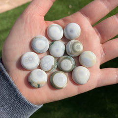 Round 16mm Ocean Jasper cabochons
