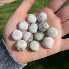 Round 16mm Ocean Jasper cabochons