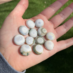 Round 16mm Ocean Jasper cabochons
