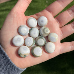 Round 16mm Ocean Jasper cabochons